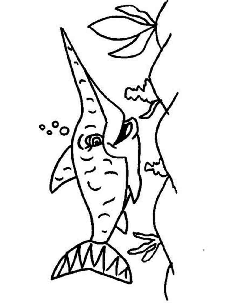 Download 60+ Swordfish Coloring Pages PNG PDF File